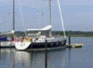 image009
